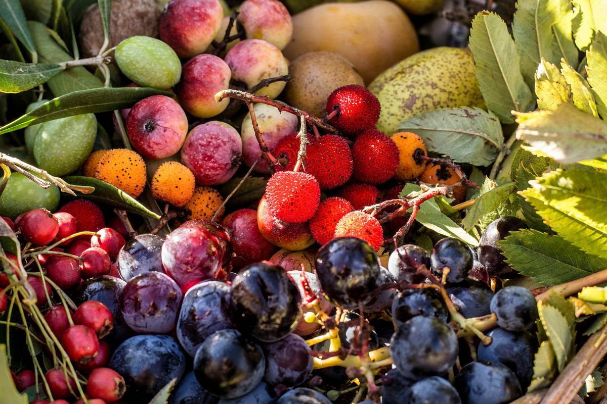 Eating for Gut Health Plan: 7 Proven Ways to Avoid Costly Digestive Mistakes